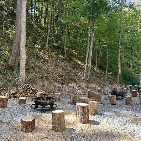 Cozy Cove Retreat W Lake View Hot Tub Firepit 丹德里奇 外观 照片