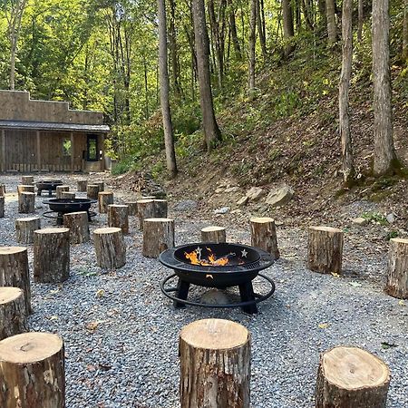 Cozy Cove Retreat W Lake View Hot Tub Firepit 丹德里奇 外观 照片