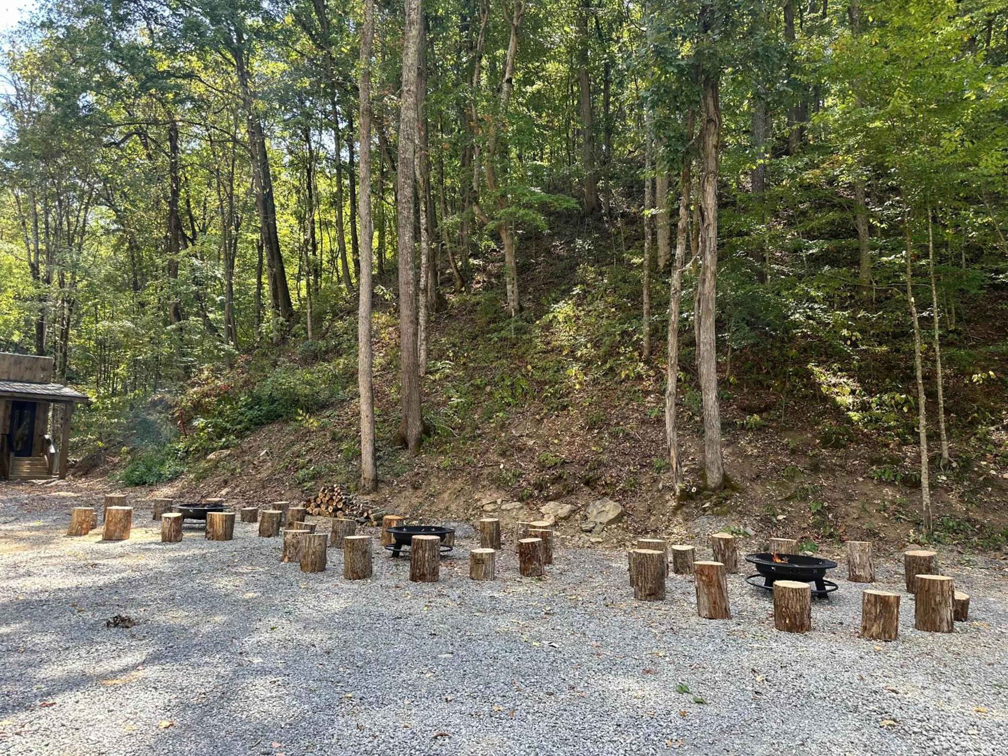 Cozy Cove Retreat W Lake View Hot Tub Firepit 丹德里奇 外观 照片