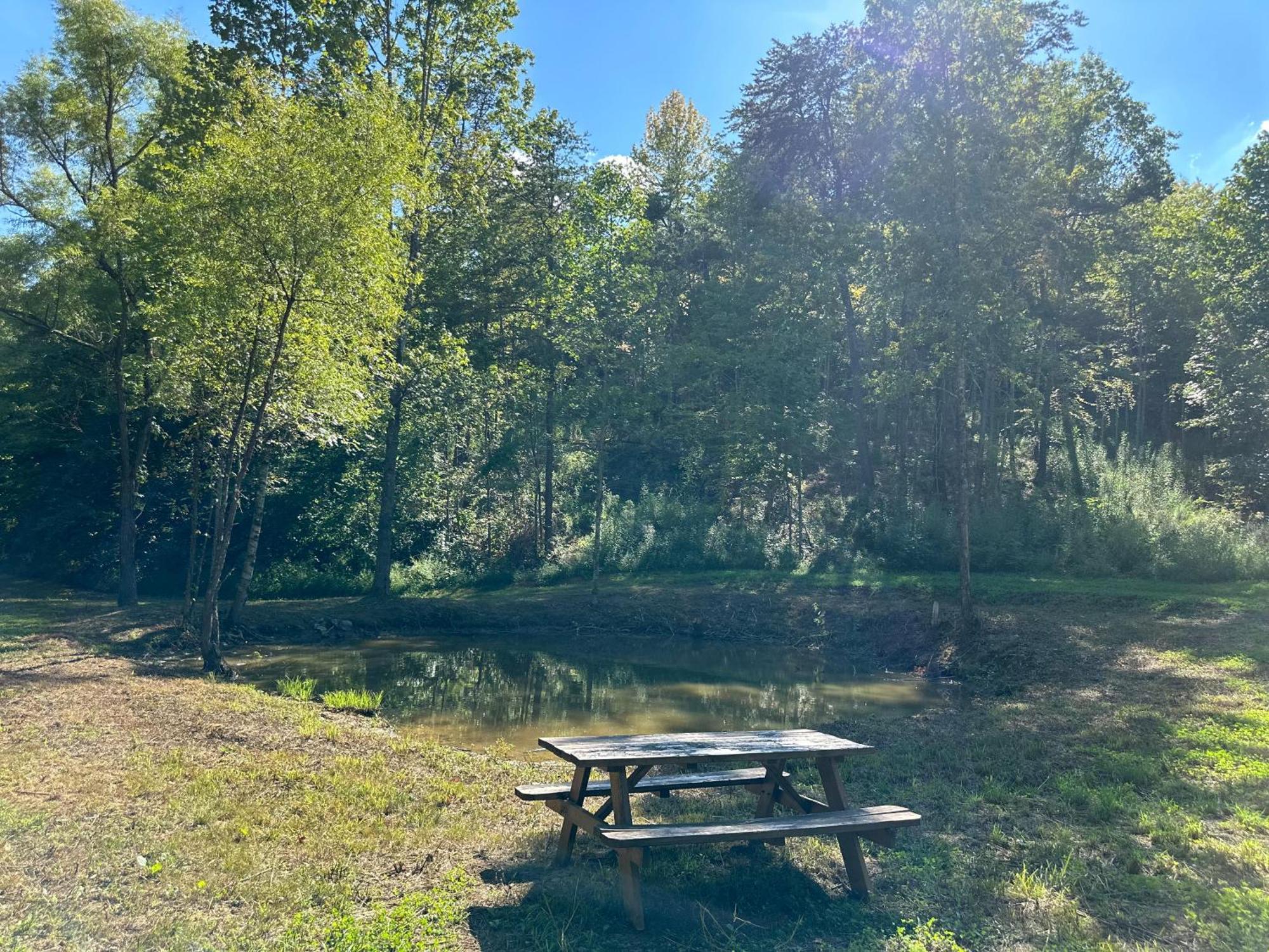 Cozy Cove Retreat W Lake View Hot Tub Firepit 丹德里奇 外观 照片